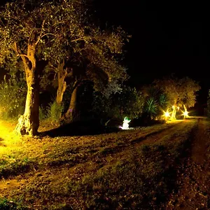 alle-riserve-vendicari.sicilyhotelsitaly.net/